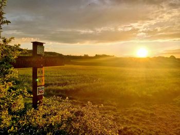 Scenic view of field against sky during sunset