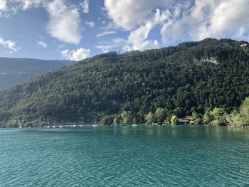 Scenic view of lake by trees against sky