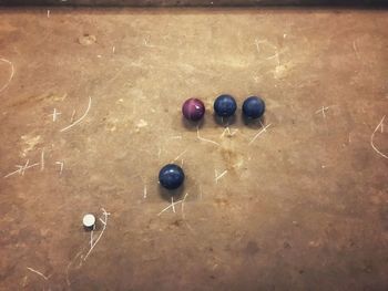 High angle view of fruits on table