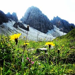 Scenic view of landscape with mountains in background