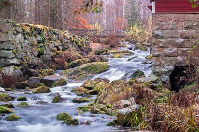 Stream flowing through rocks in forest