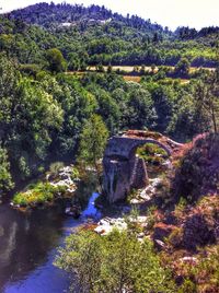 Scenic view of river