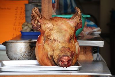 Dead pig head on tray