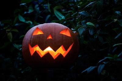 Close-up of illuminated jack o lantern at night