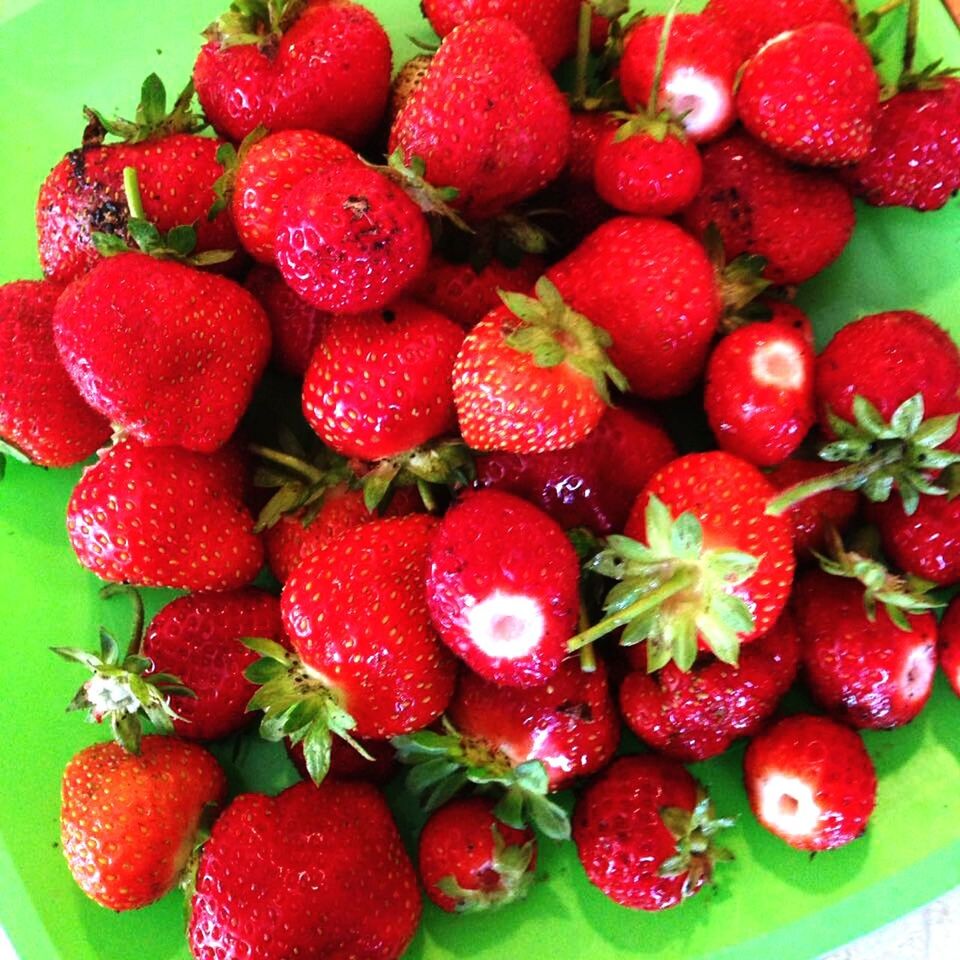 HIGH ANGLE VIEW OF STRAWBERRIES IN CONTAINER