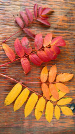 High angle view of orange leaves on table