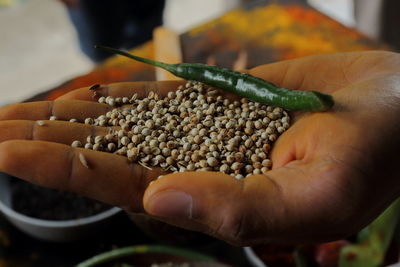 Close-up of man holding food