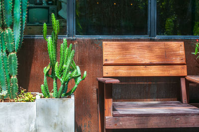 Potted plants on table by bench