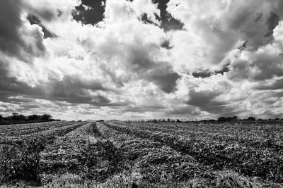 Scenic view of field against cloudy sky