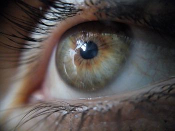 Extreme close-up of human eye