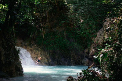 Man swinging over waterfall in forest