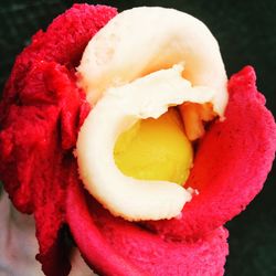 Close-up of red rose over white background