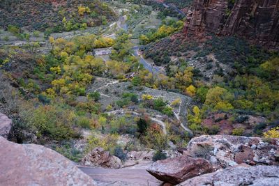 High angle view of trees on rocks