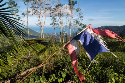 Low angle view of flag against trees and plants