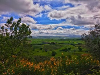 Scenic view of field against sky
