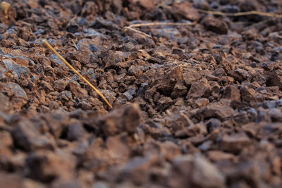 Full frame shot of stones