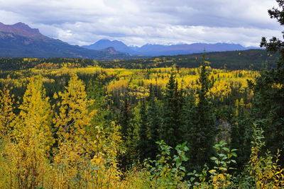 Scenic view of yellow mountains against sky