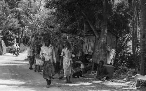 Rear view of people walking on road along trees