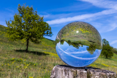 Close-up of crystal ball on wooden post on field