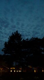 Silhouette trees against illuminated city at night