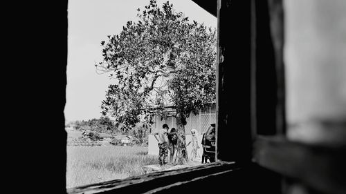 People walking on road by trees