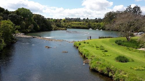 Scenic view of river amidst trees against sky