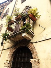 Low angle view of building