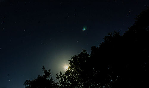 Low angle view of silhouette trees against sky at night