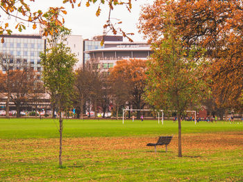 People in park