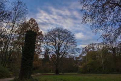 Bare trees on field against cloudy sky