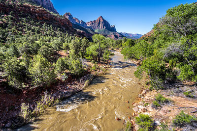 Scenic view of stream amidst trees against sky