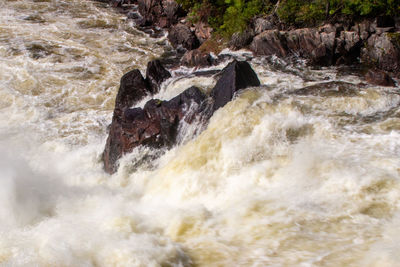 rapid