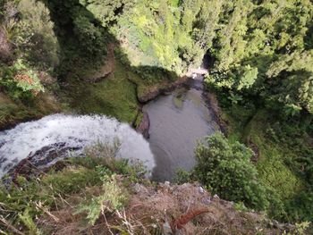 Stream flowing through rocks in forest