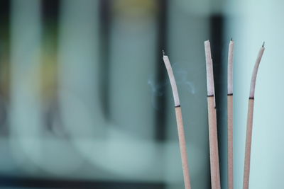 Incense burn to worship the buddha and the sacred.