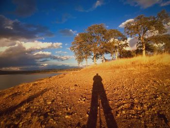 Shadow of man on field against sky