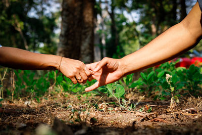 Cropped image of people hand touching plant