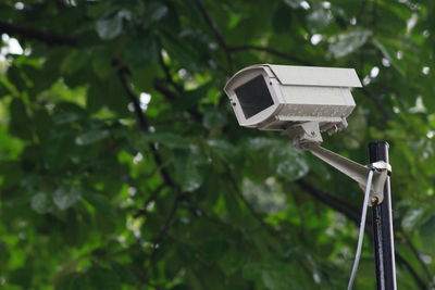 Close-up of security camera against tree