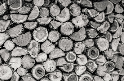 Pile of various essences of wood stacked cracked with spiderweb