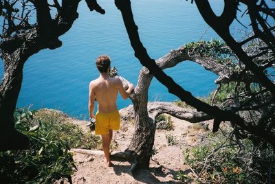 Full length of woman standing on tree trunk