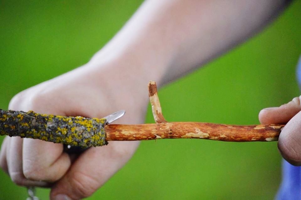 person, holding, part of, cropped, human finger, focus on foreground, close-up, unrecognizable person, green color, personal perspective, lifestyles, outdoors, day, showing, nature, leisure activity, selective focus