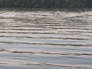 Full frame shot of rippled lake