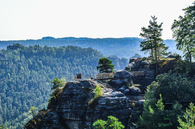 View of trees on mountain against clear sky