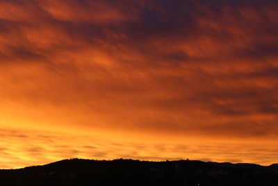 Silhouette trees against orange sky