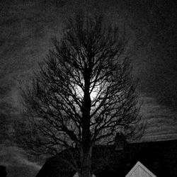 Low angle view of bare tree against sky