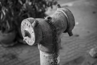 Close-up of fire hydrant