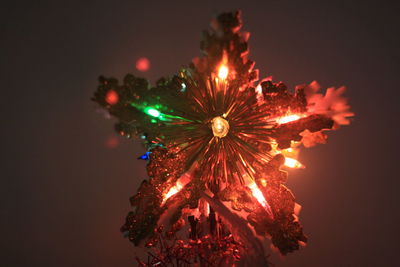 Close-up of illuminated christmas decoration against at home