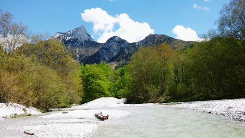 Scenic view of river amidst trees against sky