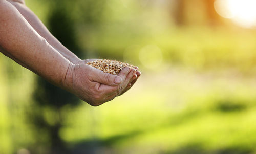 Cropped hand of woman holding hands