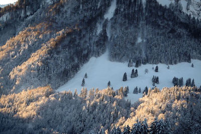 Panoramic view of snow covered land