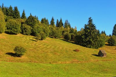 Transylvanian autumn landscape